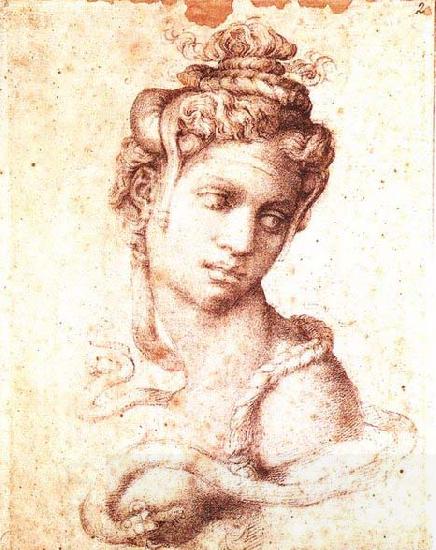 Michelangelo Buonarroti Cleopatra China oil painting art
